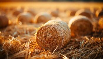 ai generato agricoltura industria raccolta Grano, lanciato su balle nel prato generato di ai foto