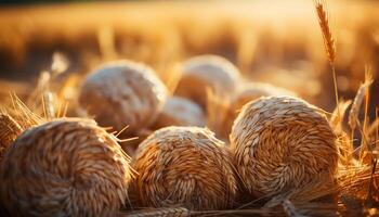 ai generato salutare mangiare all'aperto maturo Grano, fresco orzo, d'oro grano generato di ai foto