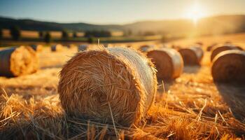 ai generato raccolta Grano, lanciato su covoni di fieno, d'oro prato, natura bellezza generato di ai foto