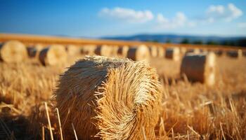 ai generato agricoltura industria rotoli d'oro fieno balle nel natura prato generato di ai foto