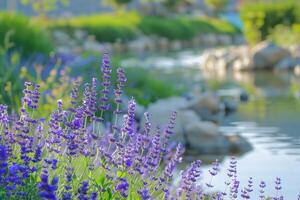 ai generato lavanda fioriture di un' sereno acqua ruscello foto