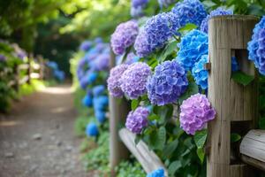 ai generato ortensie adornare un' rustico giardino sentiero foto