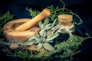 erbe aromatiche a partire dal francese provence su oliva legna foto