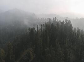 piovoso tempo metereologico nel montagne. nebbioso nebbia soffiaggio al di sopra di pino albero foresta. aereo metraggio di abete rosso foresta alberi su il montagna colline a nebbioso giorno. mattina nebbia a bellissimo autunno foresta. foto