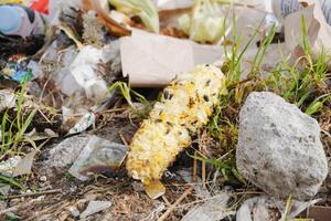 inquinata parco di pannocchia spazzatura e plastica foto