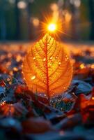 ai generato autunno foglia con gocce di acqua nel il sole foto
