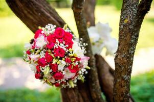 nozze fiori concetto. della sposa mazzo su un' albero sfondo. luminosa colori. avvicinamento. foto