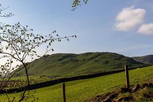 bellissimo paesaggio foto nel yorkshire Dales