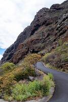 avvolgimento montagna strada con lussureggiante verdura sotto un' nuvoloso cielo nel tenerife. foto