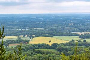 panoramico Visualizza di lussureggiante verde campagna con i campi e alberi sotto un' nuvoloso cielo. foto