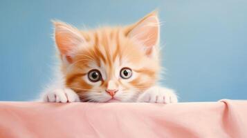 ai generato adorabile arancia e bianca gattino con grande blu occhi curiosamente sbircia al di sopra di bianca bordo contro morbido rosa sfondo, ai generato. foto