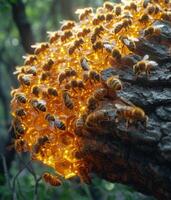 ai generato sciame di api su albero. alveare nel il forma di un' Favo con api foto