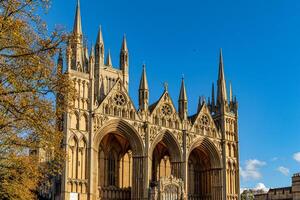 Gotico Cattedrale facciata contro un' chiaro blu cielo con autunno alberi nel Peterborough, Inghilterra. foto