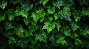 ai generato lussureggiante verde fogliame struttura, cattura della natura intricato modelli e vivace sfumature, ai generato. foto