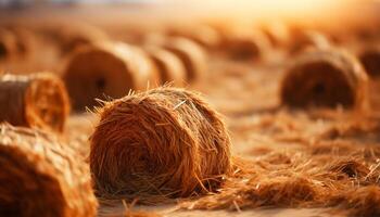 ai generato agricoltura industria raccolta Grano, natura salutare cibo, nel rurale prato generato di ai foto