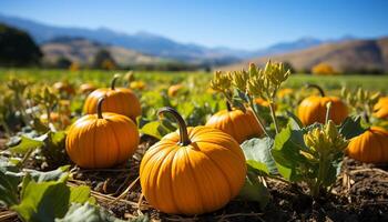 ai generato autunno raccogliere zucca, zucca, e schiacciare decorare il all'aperto tavolo generato di ai foto