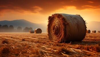 ai generato tramonto al di sopra di rurale azienda agricola, d'oro prati, covoni di fieno, natura bellezza generato di ai foto