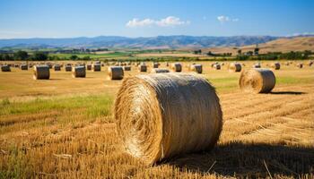 ai generato agricoltura bellezza nel natura prato, fieno, e Grano pila generato di ai foto