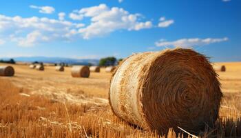 ai generato rurale scena agricoltura, natura, azienda agricola, estate, prato, Grano, erba generato di ai foto