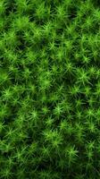 ai generato foto nature tavolozza astratto superiore Visualizza di verde erba struttura verticale mobile sfondo