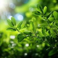 ai generato illuminata dal sole fogliame fresco verde le foglie con bokeh su natura fondale per sociale media inviare dimensione foto