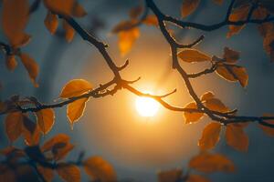 ai generato Visualizza illuminata dal sole albero rami nel autunno silhouette, la creazione di un' tranquillo Immagine foto