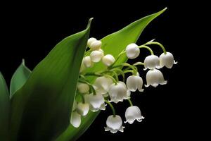 ai generato giglio di il valle - convallaria majalis - fiore nativo per Europa e Asia - conosciuto per loro delicato bianca fioriture e dolce fragranza. un' simbolo di umiltà e felicità foto