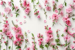 ai generato leggero rosa primavera prato fiori e petali disposte su bianca sfondo. superiore Visualizza. ai generato foto