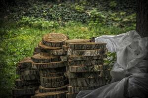 il giro pezzi di tagliare legna impilati nel il erba foto