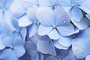 ai generato vicino su di blu fiori con acqua goccioline. generativo ai foto