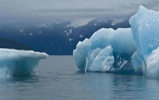 tracy braccio iceberg foto