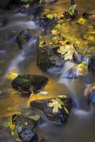 piccolo torrente in autunno foto