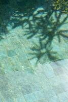 tropicale le foglie ombra su il superficie di nuoto piscina. foto