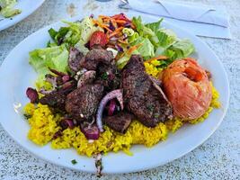 Manzo e agnello shawarma insalata e combo servito nel un' ristorante nel favorire città California foto