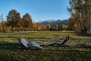 di legno panchine nel zakopane parco nel davanti di il montagne foto