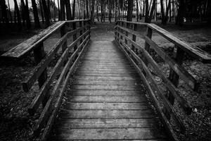 vecchio di legno ponte nel il foresta foto