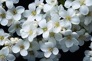 ai generato autunno e primavera bianca morbido colore fiori nel il giardino foto