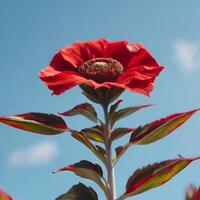 ai generato un' rosso fiori foto