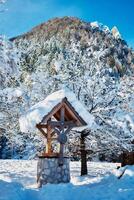 bene sotto il neve nel davanti di montagne foto