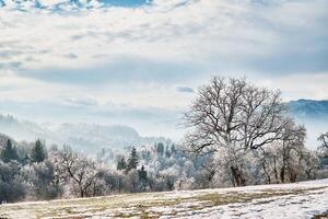 inverno paesaggio di campo con montagne foto