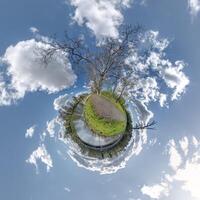 sferico astratto aereo Visualizza nel foresta con goffo rami. minuscolo pianeta trasformazione di sferico panorama 360 gradi. curvatura di spazio. foto