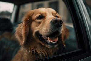 ai generato divertente cane su di auto finestra. neurale Rete ai generato foto