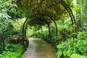 giardino nel Singapore foto