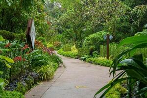 giardino nel Singapore foto