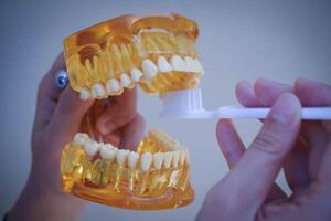 mano femmina dentista pulizia dentale giallo mascella modello con bianca spazzolino foto