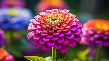 ai generato fiorire lilla zinnia fiore su un' verde sfondo su un' estate giorno macro fotografia. foto