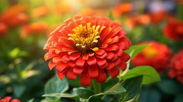 ai generato fiorire lilla zinnia fiore su un' verde sfondo su un' estate giorno macro fotografia. foto