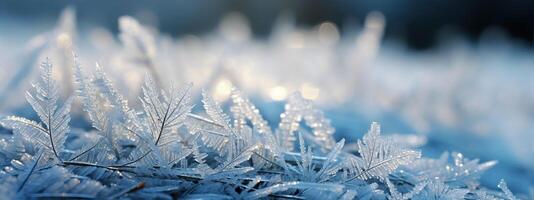 ai generato inverno stagione all'aperto paesaggio, fiocco di neve forma nel natura su un' foresta terra coperto con ghiaccio e foto