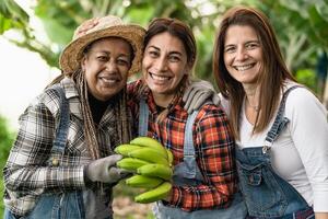 contento agricoltori avendo divertimento Lavorando nel banane piantagione - azienda agricola persone stile di vita concetto foto