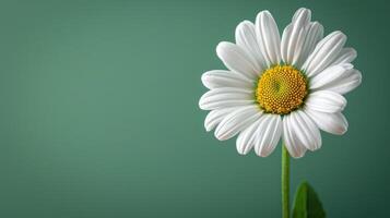 ai generato fresco estate fiore su verde sfondo con copia spazio foto